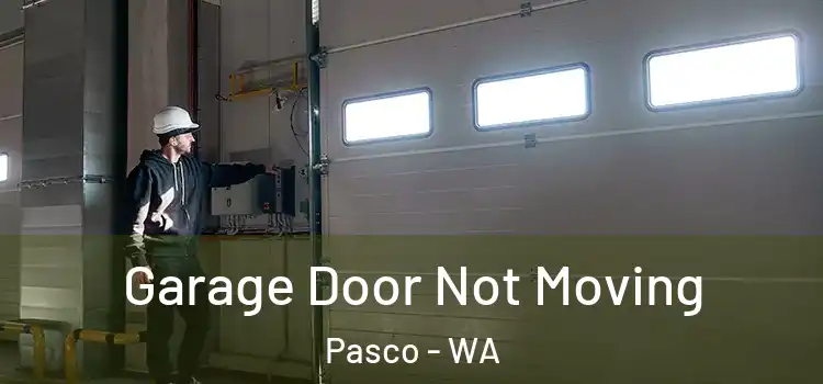  Garage Door Not Moving Pasco - WA
