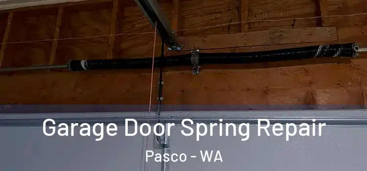  Garage Door Spring Repair Pasco - WA