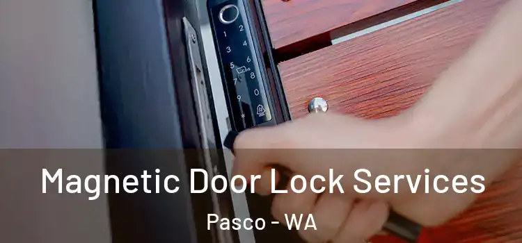 Magnetic Door Lock Services Pasco - WA